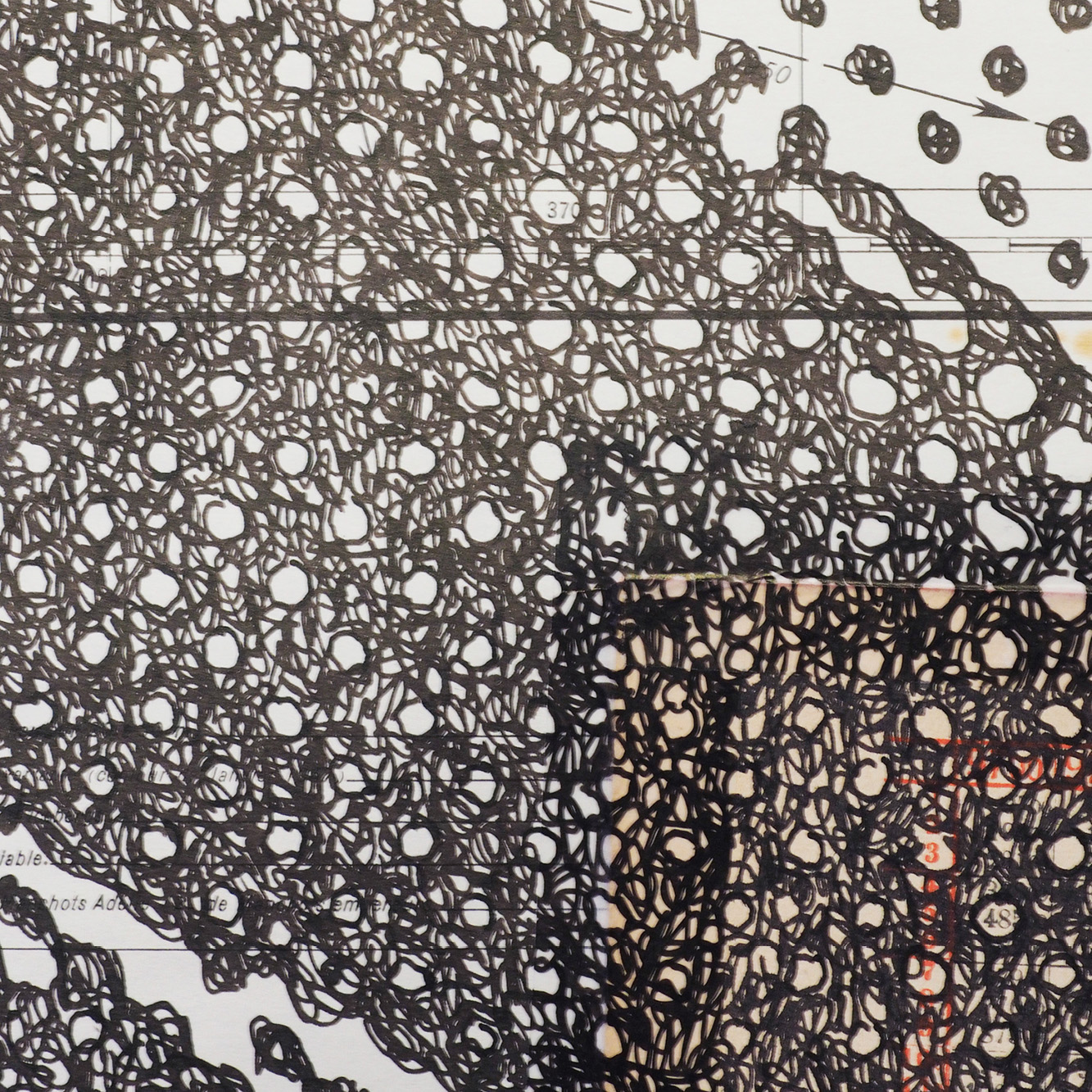 the-art-of-walking-D2